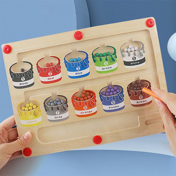 SkillQuest - Magnetic Educational Maze - Fun Learning Adventure with Sorting Board