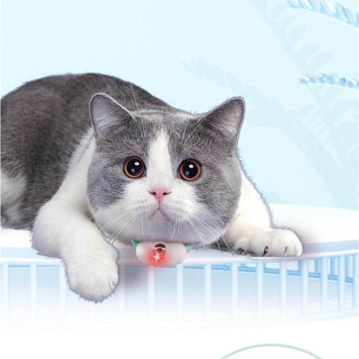 LaserPlay - Rechargeable Cat Laser Toy - Interactive Teaser with Type-C Charging