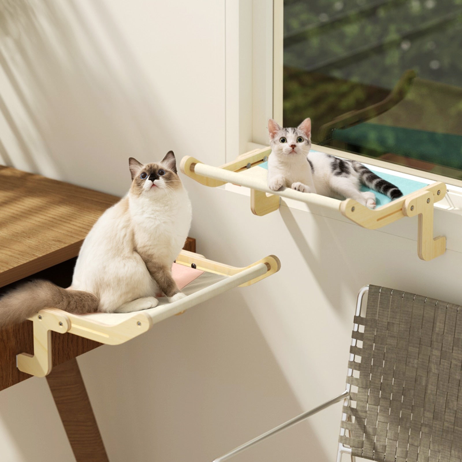 SunnySeat - Adjustable Cat Window Seat - Strong & Secure, Perfect for Lounging Cats
