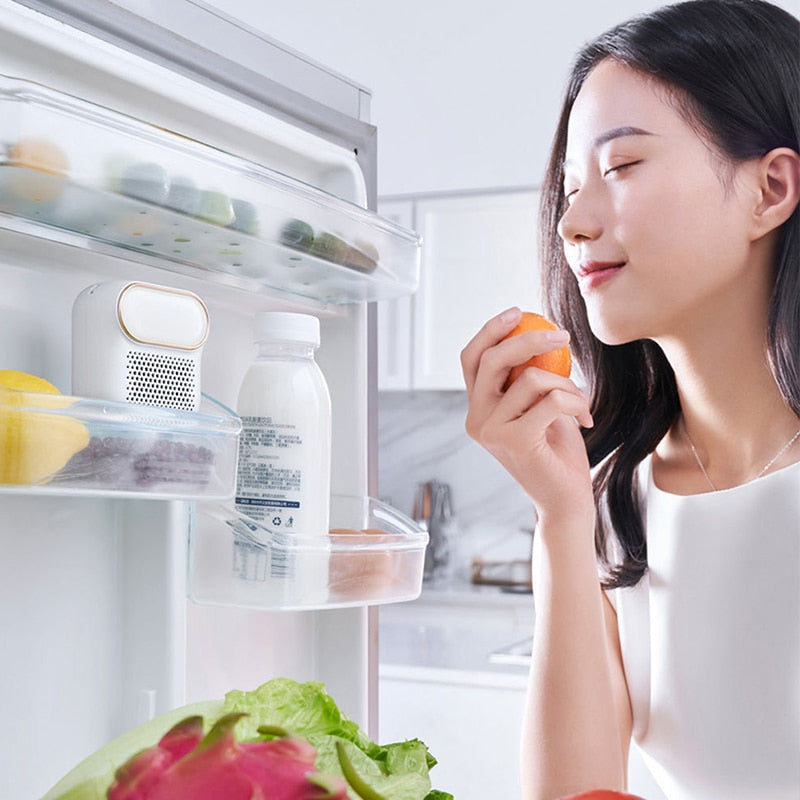 FreshGuard - Advanced Deodorizer - FreshGuard - Bacteria-Free Freshness Protection