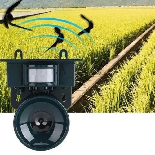 BirdShield - Outdoor Motion-Activated Bird Repeller - Keep Your Space Safe and Bird-Free
